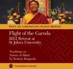 Flight of the Garuda MP3 (PR-05)