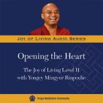Joy of Living 2 MP3 (JR-04)