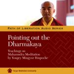 Pointing Out the Dharmakaya MP3 (PR-18)