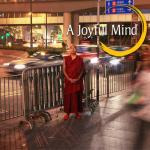 A Joyful Mind DVD (JR-11)